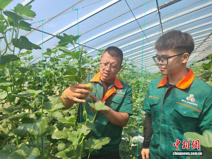 模式让他动, 为了种好甜