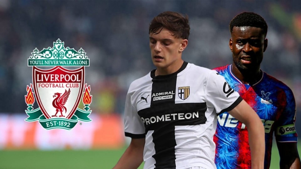 naQPw, 万欧元, 这中卫的引