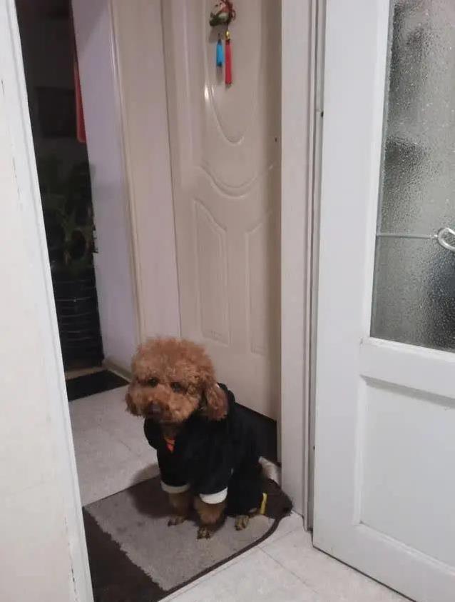 alt, 着你, 活像个监工