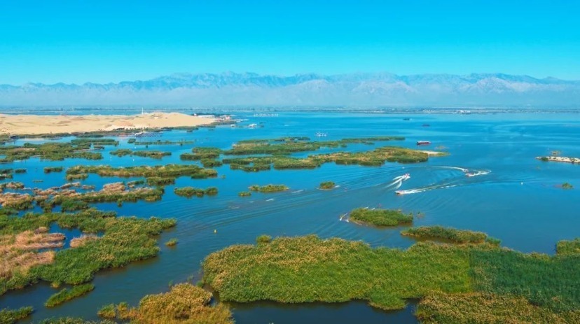 yxmRk, 余场赛事, 运动宁夏