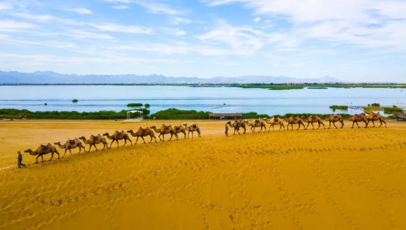 科创宁东, pJDq, 将涵盖包括