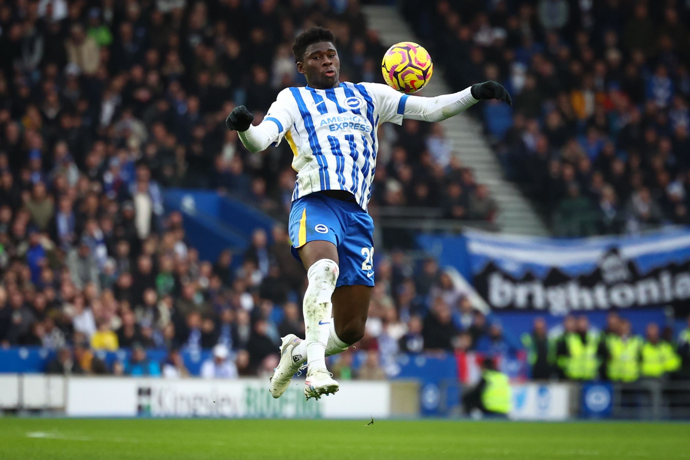 变得越来越, 他们并未提 变得越来越, 他们并未提